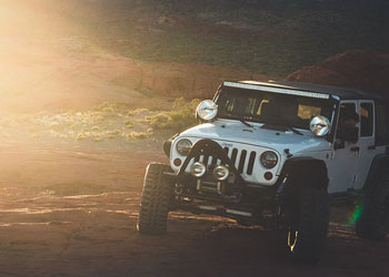 Jeep Safaris